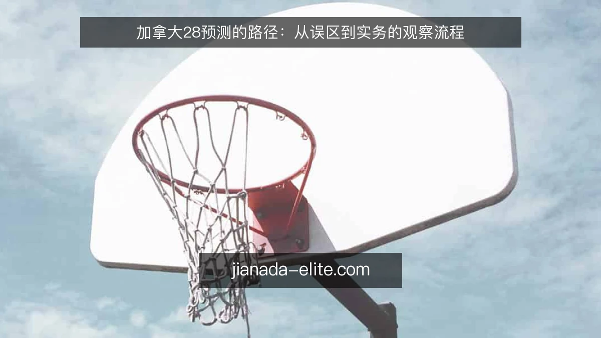 加拿大28预测的路径:从误区到实务的观察流程