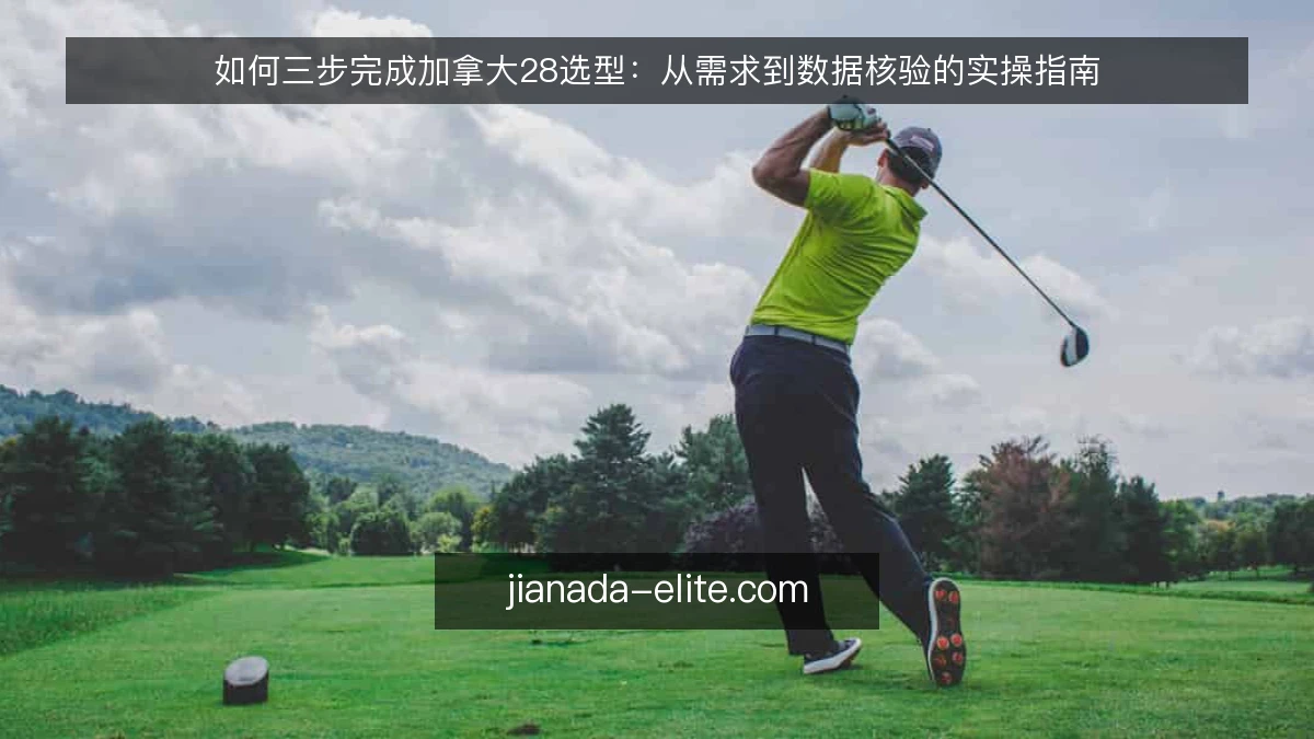 如何三步完成加拿大28选型：从需求到数据核验的实操指南