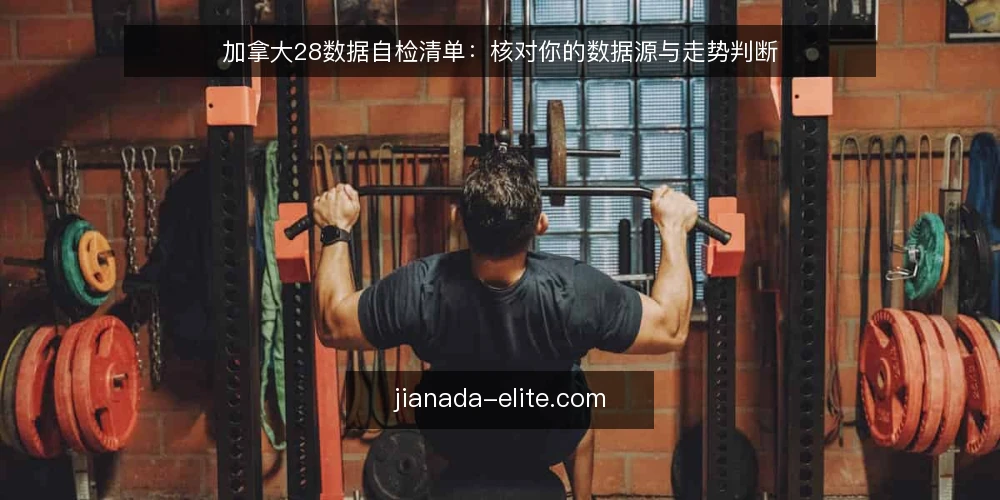加拿大28数据自检清单:核对你的数据源与走势判断 — 为什么现在需要数据自检 配图
