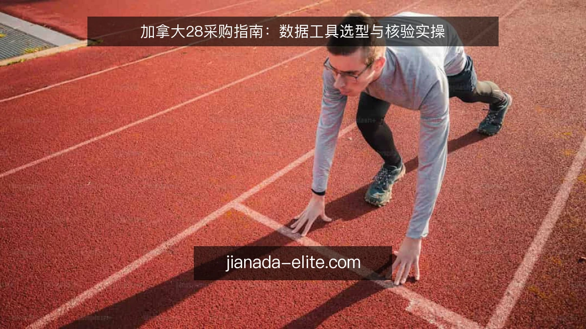 加拿大28采购指南：数据工具选型与核验实操