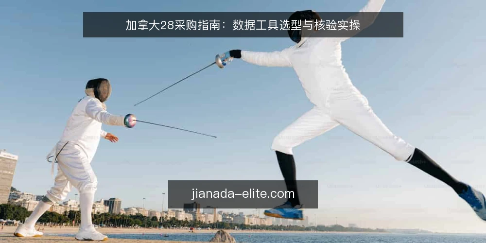 加拿大28采购指南:数据工具选型与核验实操 — 定义使用场景与数据需求 配图