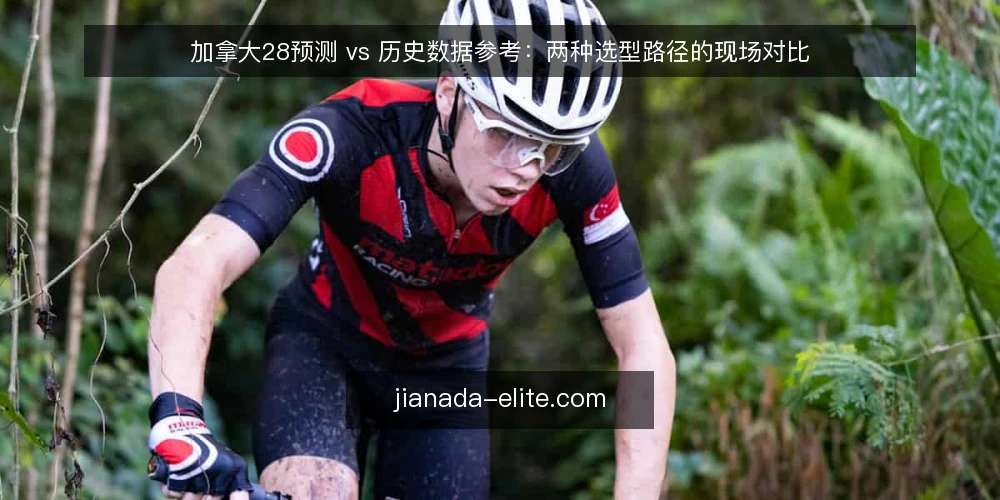 加拿大28预测 vs 历史数据参考：两种选型路径的现场对比 — 先看什么：现场信号与判断标准 配图