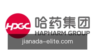 加拿大28